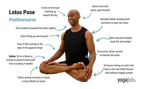 Lotus Pose (Padmasana)