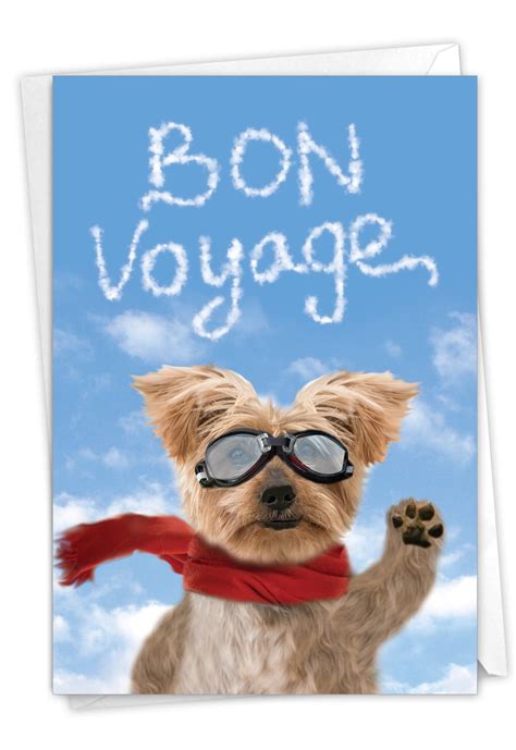 1 Funny Bon Voyage Card with Envelope - Goodbye Dog Bon Voyage C6345BVG - Walmart.com