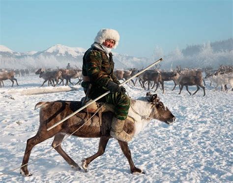 The Sakha (Yakutia) Republic. The perfect place for Ethno Tourism | Reindeer, Reindeer herders ...