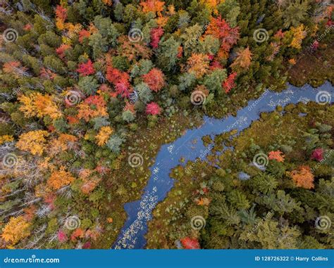 Fall Foliage Acadia National Park in Autumn Stock Photo - Image of ...