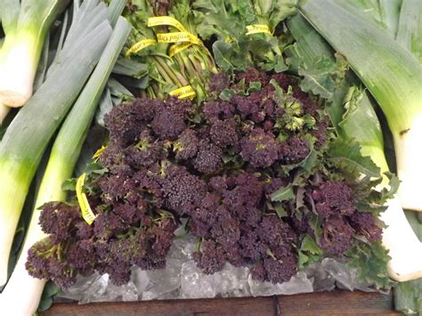 About Purple Sprouting Broccoli | Recipes from Nash's Organic Produce