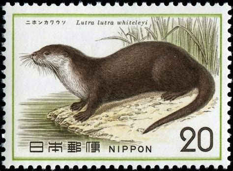 Japanese River Otter Declared Extinct After Three Decades | The Mary Sue