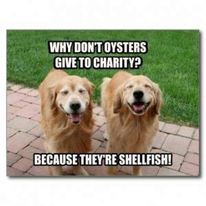 Funniest Golden Retriever Memes - K9nerds.com