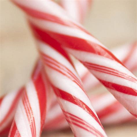 christmas candy canes by sophia victoria joy etc | notonthehighstreet.com