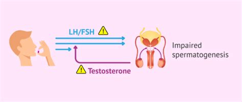 Are the causes of teratozoospermia reversible or not?