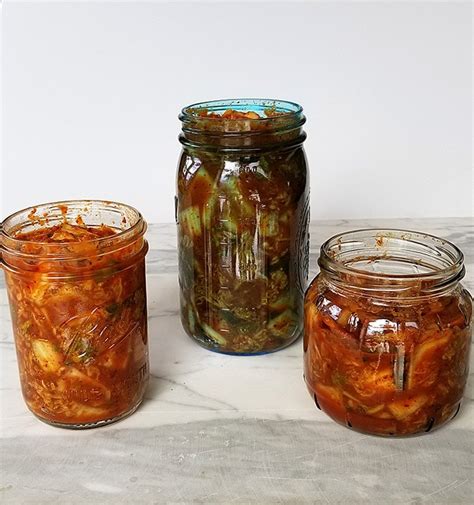 Two Fermented Vegetarian Kimchi Recipes – Vegetarian Recipes for ...