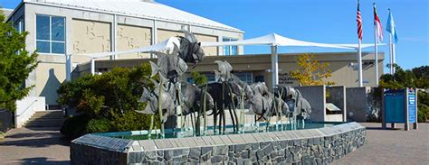 FORT FISHER | North Carolina Aquarium Society