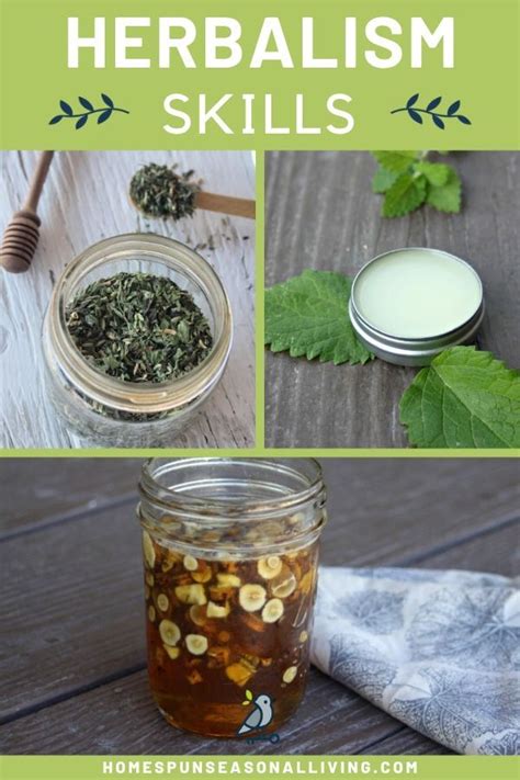 10 Ways to Grow Your Herbalism Skills | Herbalism, Natural remedies, Natural health remedies