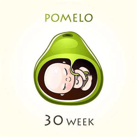 30 Weeks Pregnant: Changes, Symptoms & Size of Your Fetus - HealthToday