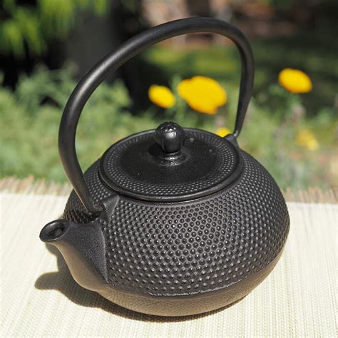 Buy Cast Iron Teapots | Japanese Style | The Exotic Teapot