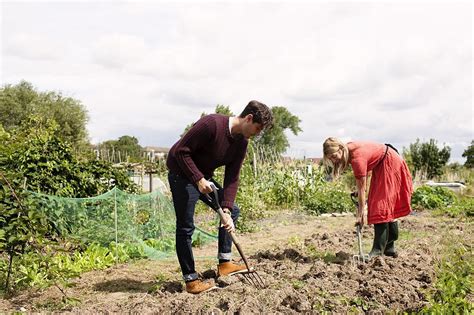 Prepare Your Soil (Tillage Methods on a Small Farm)