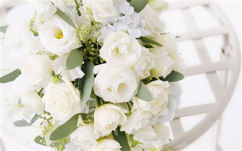 Cute Baby HD Wallpaper: White Rose Bouquet Wallpapers