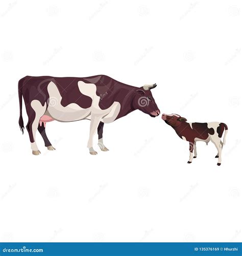 Cow Mother With Baby Calf Cartoon Vector | CartoonDealer.com #135376169