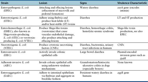 Enteric Escherichia coli Infections | Veterian Key