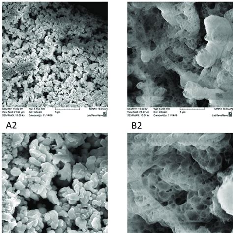 (A) Structure of the purchased chromium(III) oxide and (B) structure of... | Download Scientific ...