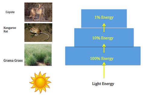 Energy Pyramid - Desert