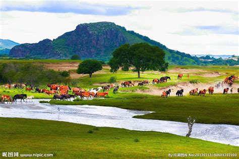 草原摄影图__自然风景_自然景观_摄影图库_昵图网nipic.com