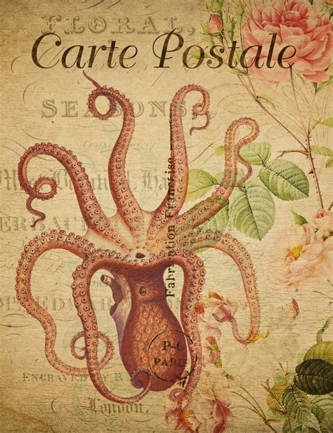 Octopus, Squid Vintage Postcard Free Stock Photo - Public Domain Pictures