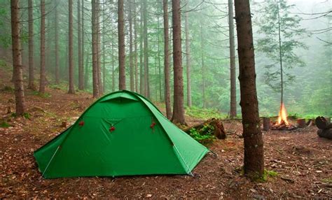 Your Survival Guide to Forest Camping - Available Ideas