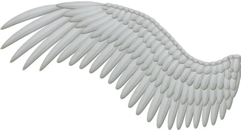 Angel wing Feather Clip art - Wings PNG png download - 1024*554 - Free ...