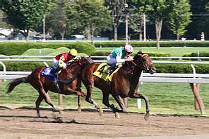 HorseRacing Art: saratoga horse racing results