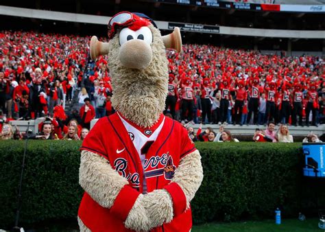 Braves Mascot Takes Time To Roast The Mets