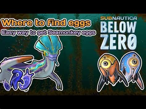 How to get Trivalve and Seamonkey Eggs | Subnautica: Below Zero (Trick to get seamonkey eggs ...