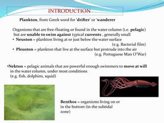 Plankton isolation / Classification | PPT | Free Download