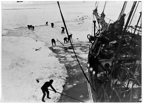 Shackleton pictures - Page 1 - The journey to Antarctica and sinking of the Endurance