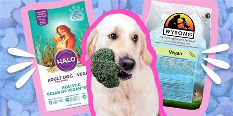 Vegan Dog Food: Vet-Recommended Brands And What Pet Parents Should Know - DodoWell - The Dodo