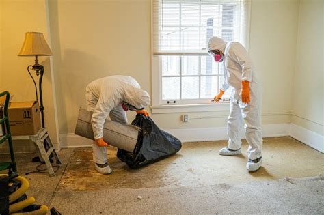 Discover What Crime Scene Cleaners Do and Why It's Important