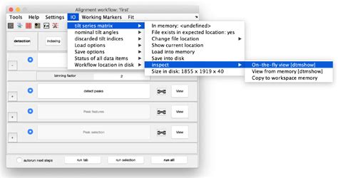 Walkthrough on GUI based tilt series alignment - Dynamo