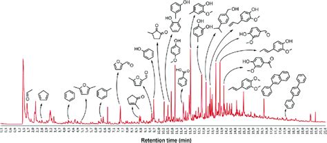 Py-GC-MS chromatogram for the PL with the main peaks identified ...