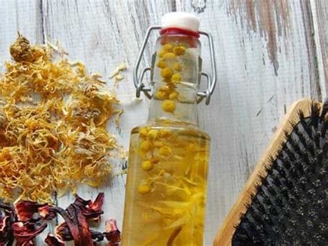 This DIY herbal hair oil is all you need for beautiful tresses - Misskyra.com