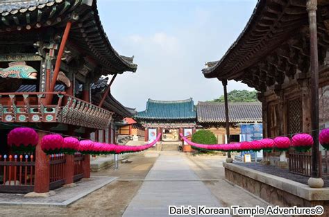 South Korea's Top 3 Temples |Seoul Searching