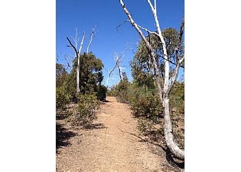 3 Best Hiking Trails in Geelong, VIC - Top Picks June 2019