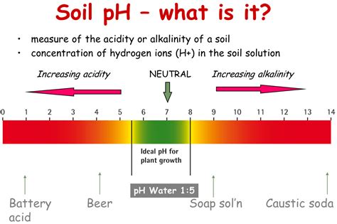 What is my optimum soil pH?