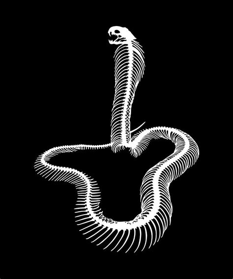 Snake Skeleton Art