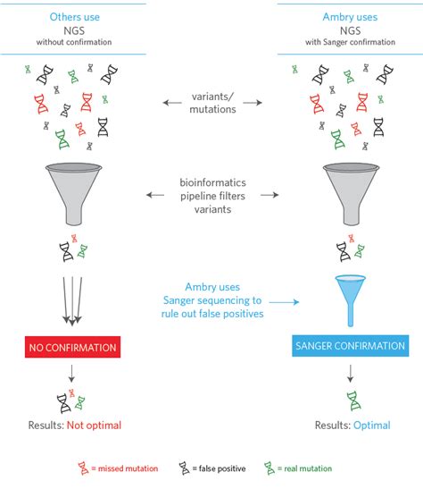 Sanger Sequencing Confirmation | Ambry Genetics