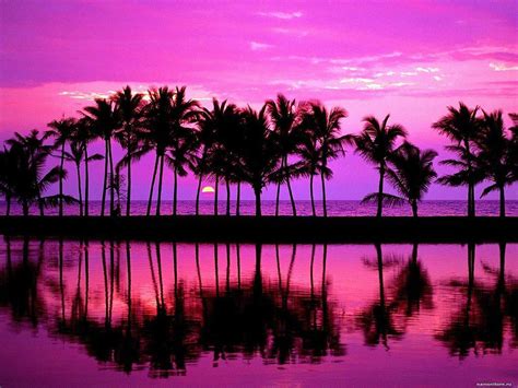 Purple Beach Sunset Wallpapers - Wallpaper Cave