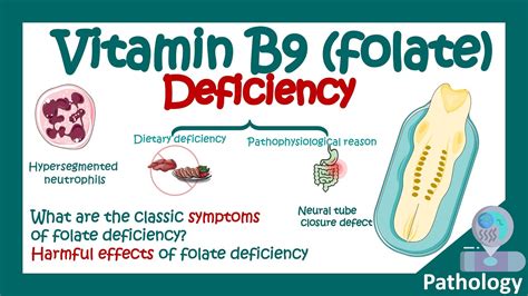 Folic Acid Deficiency