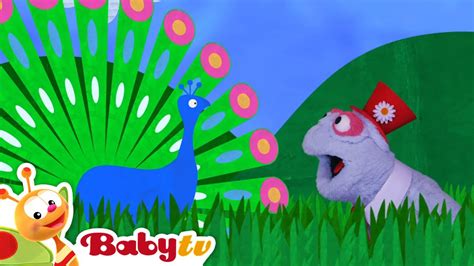 Butterflies and other birds... | BabyTV - YouTube