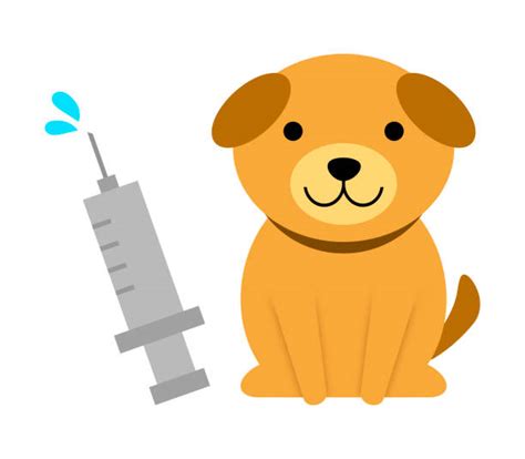 Rabies Vaccine Illustrations, Royalty-Free Vector Graphics & Clip Art ...