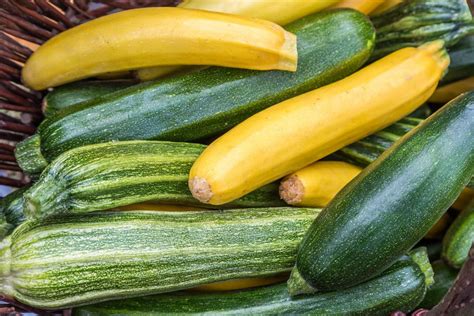 Are Squash and Zucchini Actually the Same Thing? | Recipes, Dinners and ...