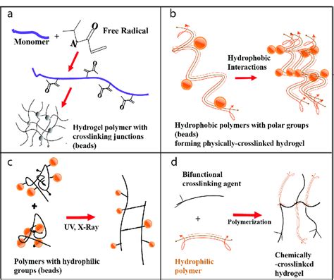 Synthesis of hydrogels in (a) free radical polymerization, (b) physical... | Download Scientific ...