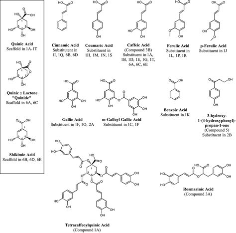 Chemical structures of chlorogenic acid TbCet1 inhibitors and related... | Download Scientific ...