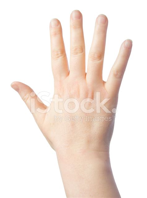 Back of Hand Stock Photos - FreeImages.com