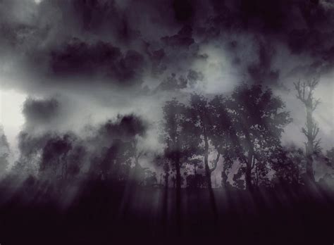 spooky Fog in the Forest by septle2 on DeviantArt