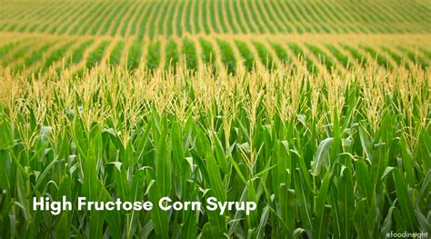 What Is High Fructose Corn Syrup? – Food Insight