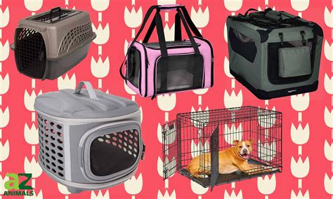 Here are the 6 Best Puppy Training Crates: Reviewed for 2022 - AZ Animals Large Dog Crate, Large ...